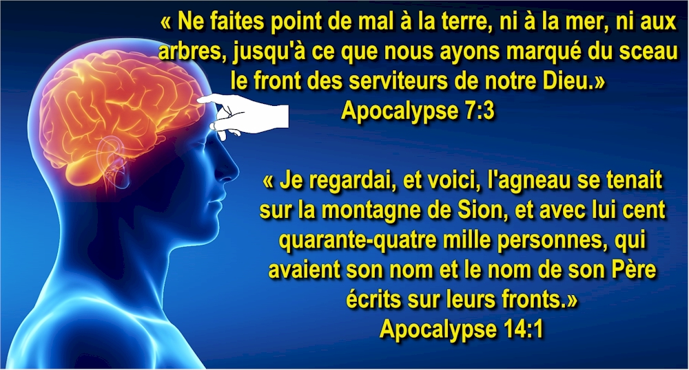  Jusqu'� ce que nous ayons marqu� du sceau le front des serviteurs de notre Dieu