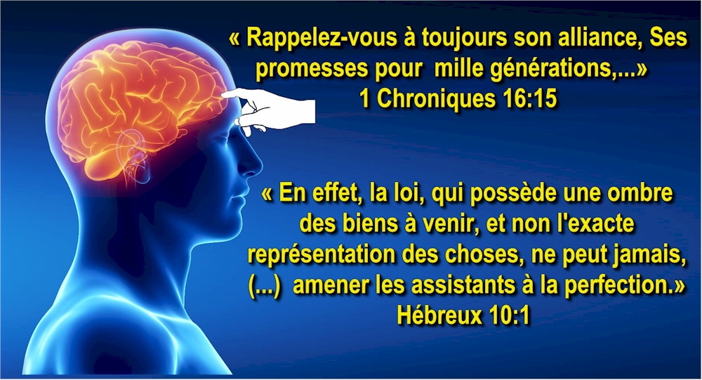  La loi, qui poss�de une ombre des biens � venir, et non l'exacte repr�sentation des choses