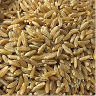 Grains de bl�